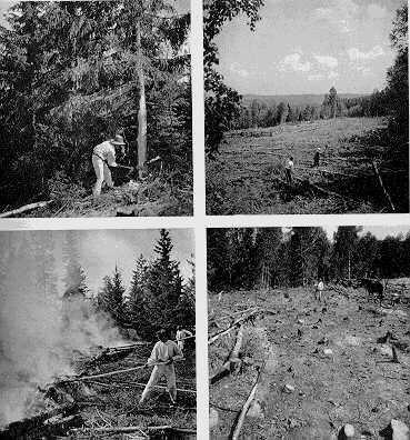 Image16j.jpg (35169 bytes)