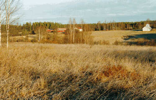 Image19j.jpg (31180 bytes)