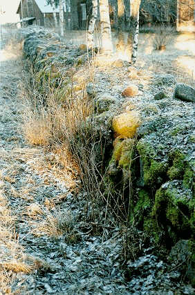 Image22j.jpg (39780 bytes)