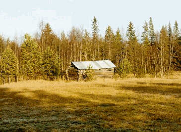 Image23j.jpg (21521 bytes)