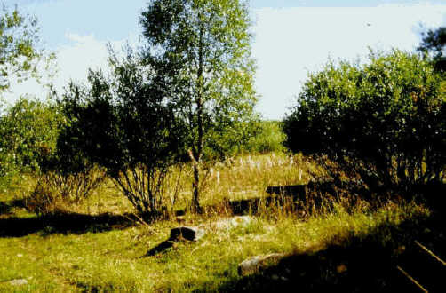 Image24j.jpg (37118 bytes)