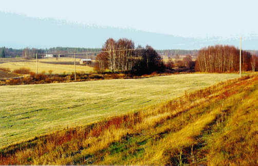 Image26j.jpg (31094 bytes)