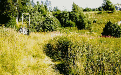 Image27j.jpg (43894 bytes)