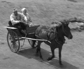 Rattaat har.jpg (32751 bytes)