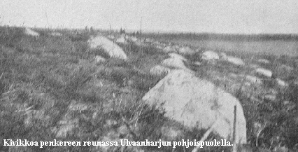 Kivikkoa.gif (42327 bytes)