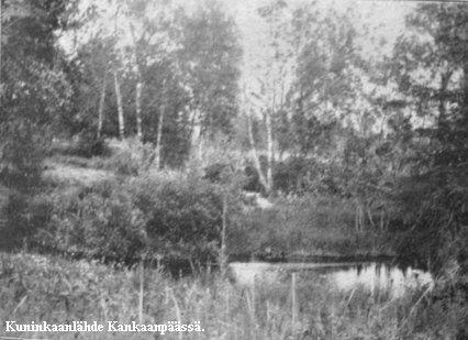 Kuninkaanlhde 1900-luvun alussa.jpg (34178 bytes)